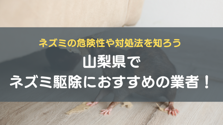 ②山梨県でネズミ駆除におすすめの業者　！ネズミの危険性や対処法を知ろう